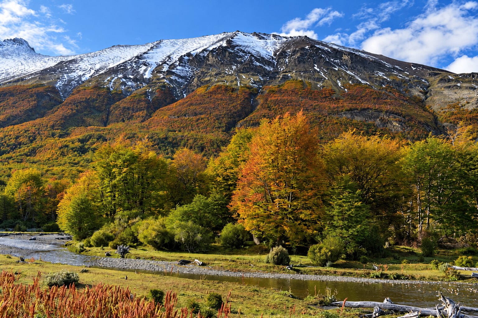 Parque Nacional Tierra del Fuego – Visita Guiada
